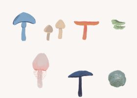 Drawing of colorful mushrooms, including orange, green, blue, pink, violet, and beige mushrooms.